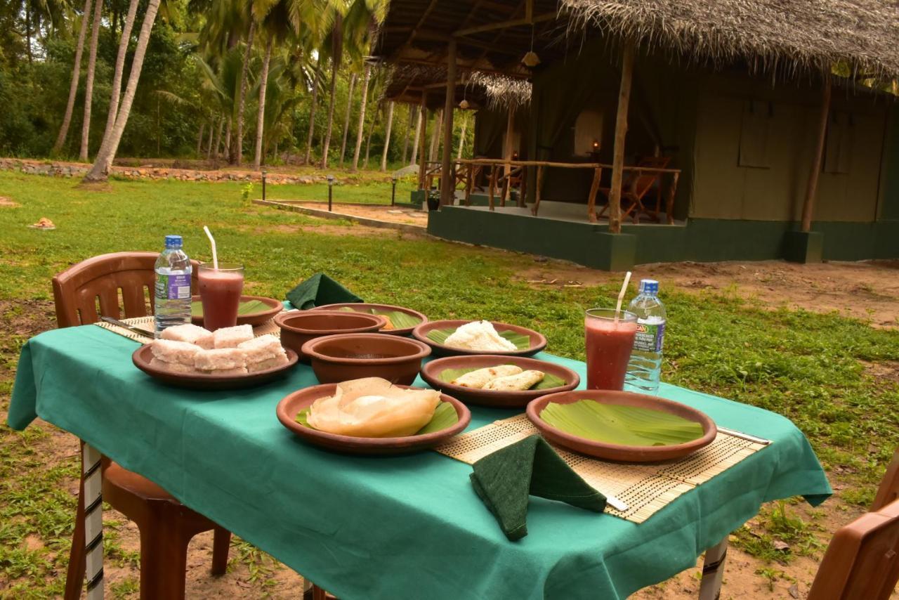 Jungle View River Camping Udawalawe Exterior foto